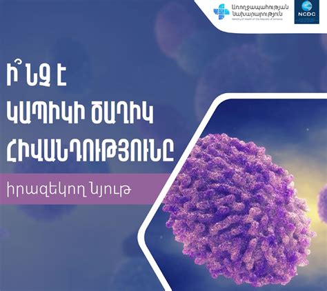 Հայաստանում հանտավիրուսի տարածման ռիսկը գնահատվում է ցածր